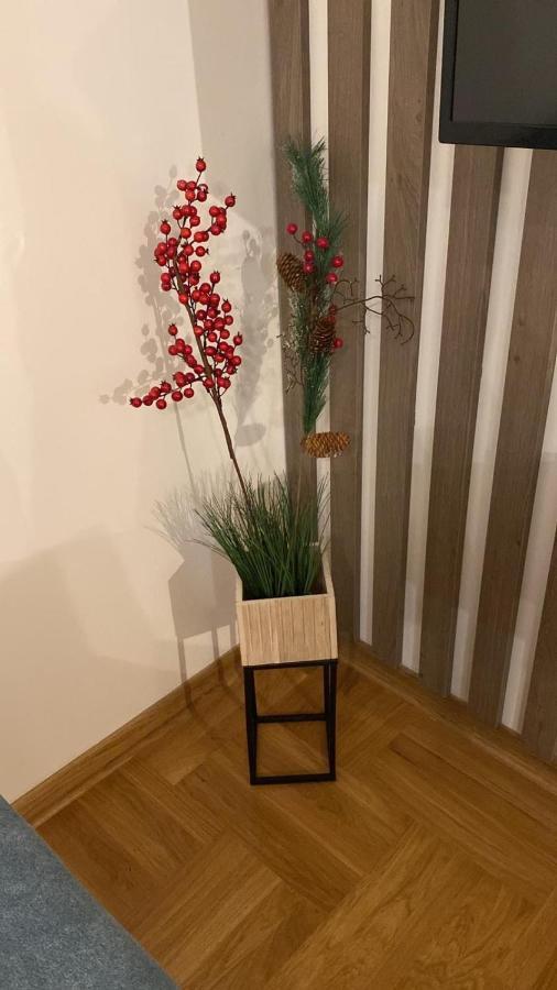 Apartment Vienna 3